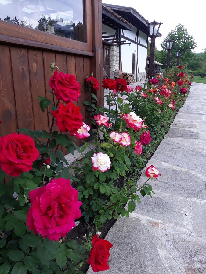 Hotel Complex Barite à Chernevo Extérieur photo